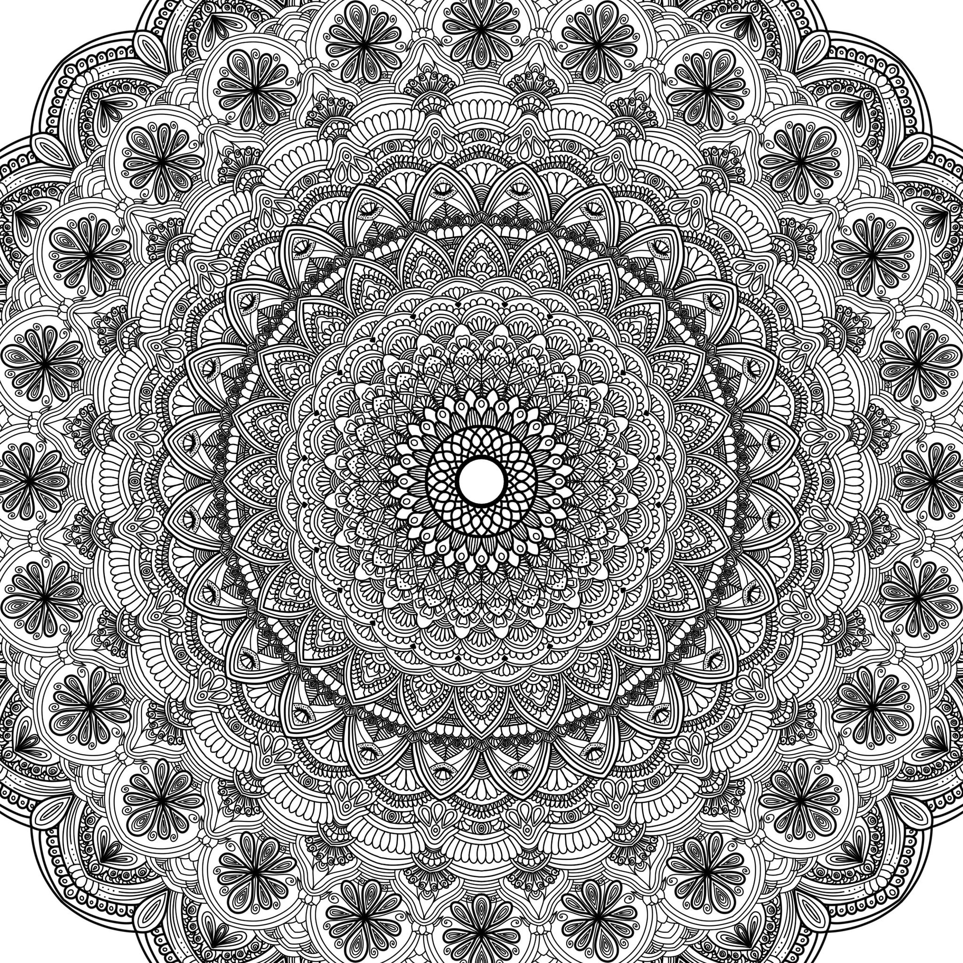 Petal pop colouring page - Art by immyt